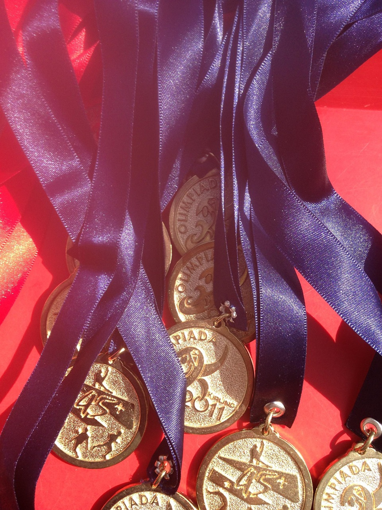 Academic and Athletic Achievements