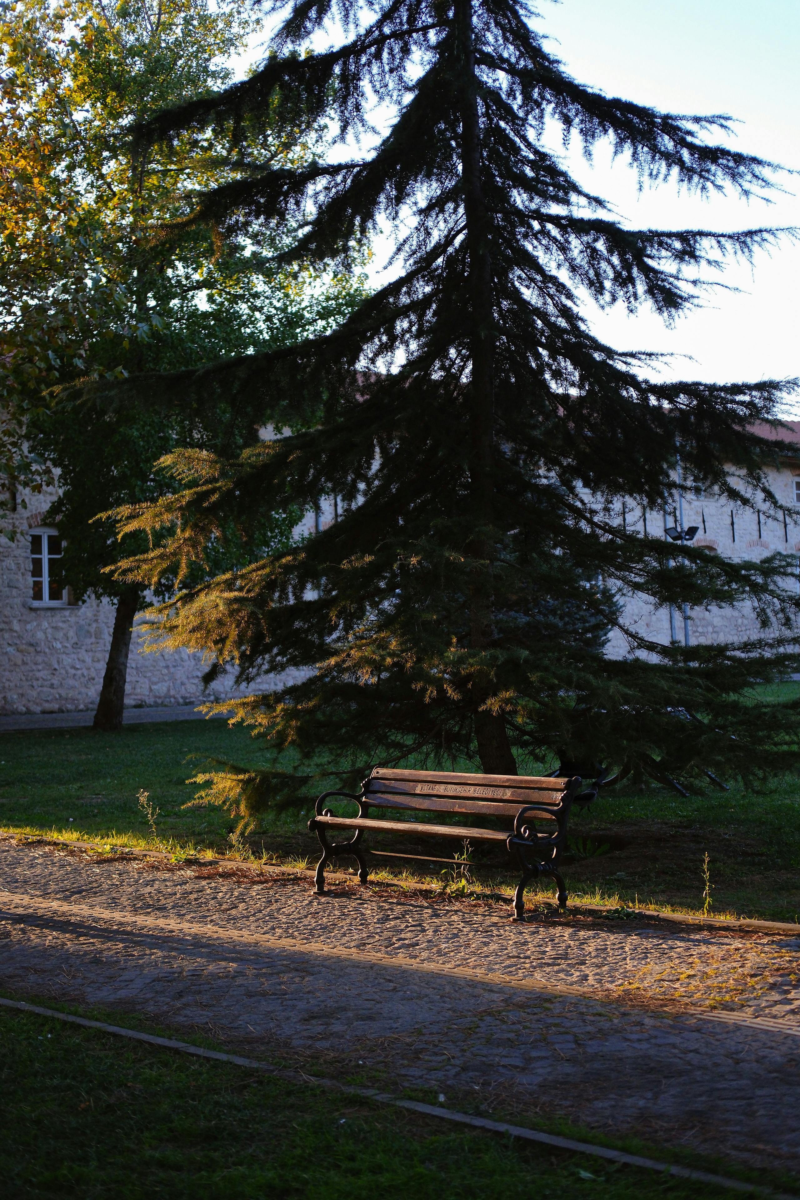 Campus Grounds